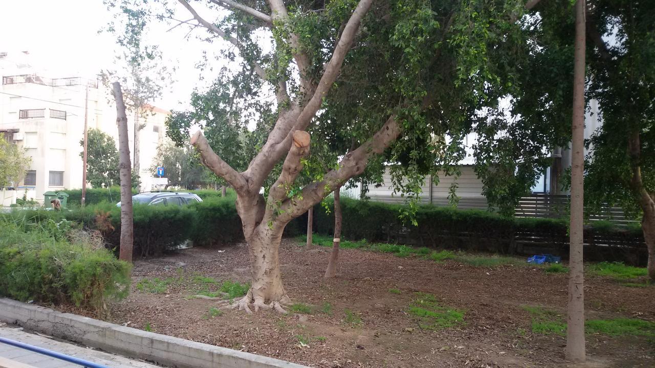 Lca2 Flat For You Apartment Larnaca Buitenkant foto