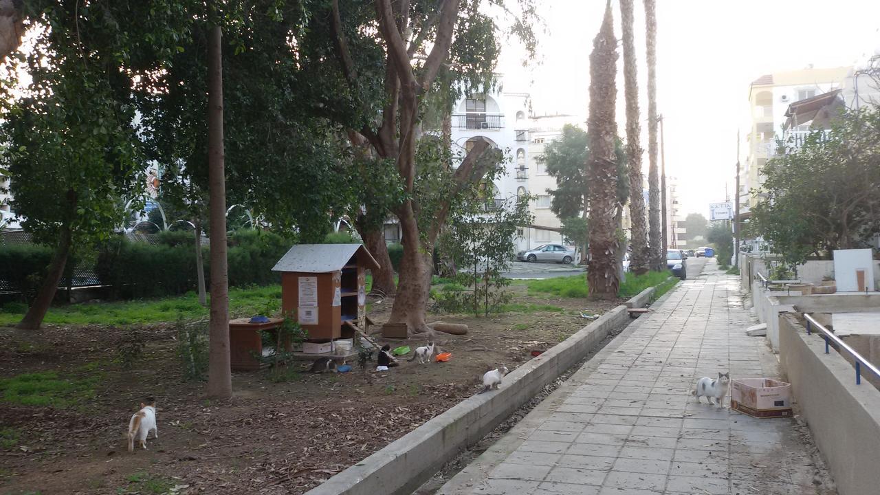 Lca2 Flat For You Apartment Larnaca Buitenkant foto