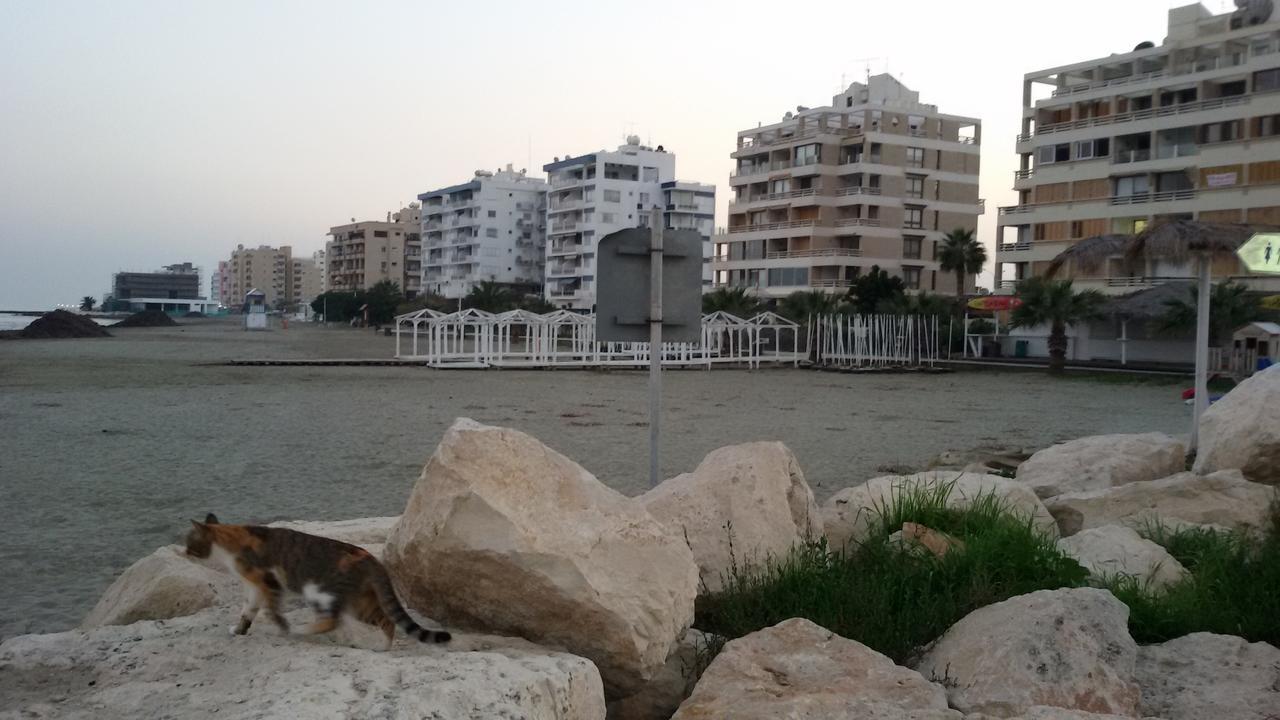 Lca2 Flat For You Apartment Larnaca Buitenkant foto